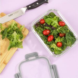 818eE2T-64L._AC_SL1500_.jpg 24pc Borosilicate Glass Storage Containers with Lids
